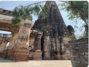 Shawala Teja Singh temple (Image Source: ANI)