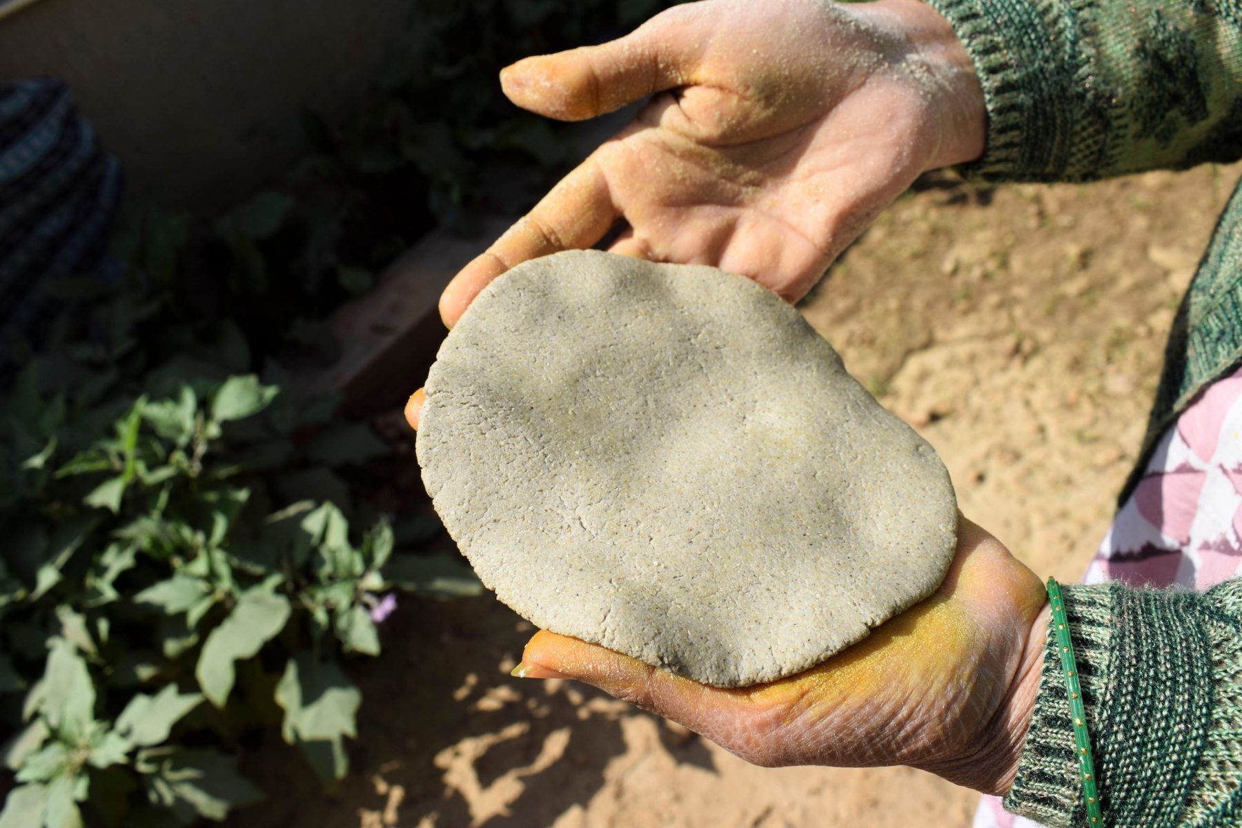 DroughtResilient Millet A Pathway To Food Security In India?