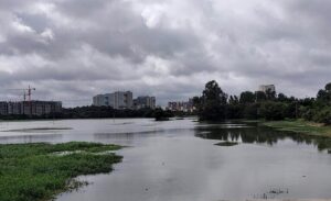 Sowl_Kere_lake_Bengaluru