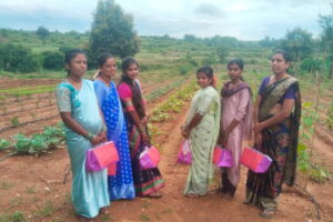 Kai-Thota-Team_Image-Courtesy-Kai-Thota-1200x800