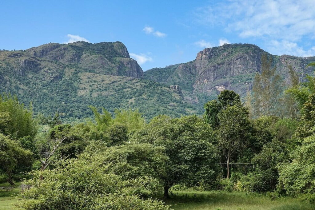 Nilgiris_Range_Bokkapuram_Sep22_R16_06380-1200x800