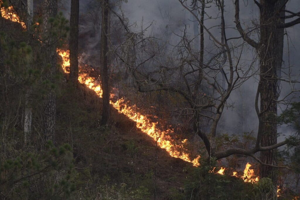 Forest_fire_in_uttarkhashi