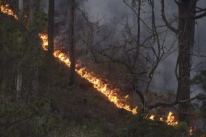 Forest_fire_in_uttarkhashi
