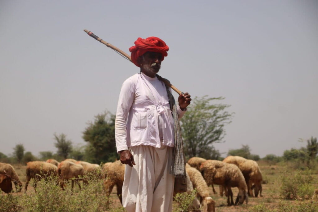 nomad-pastoralist