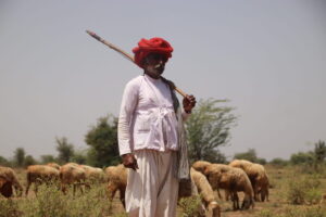 nomad-pastoralist