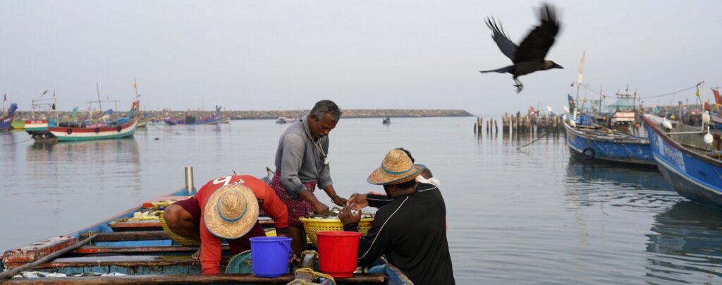 Humid heat rises on the coasts of India impacting health