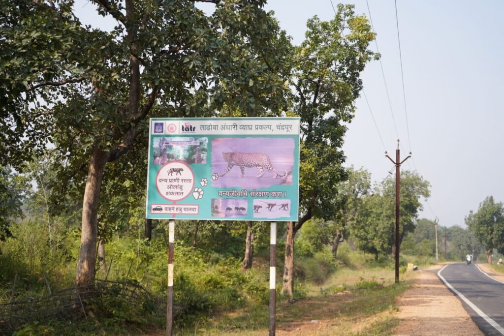 Tadoba-Andhari-Tiger-Reserve