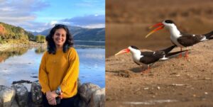 award-river-birds