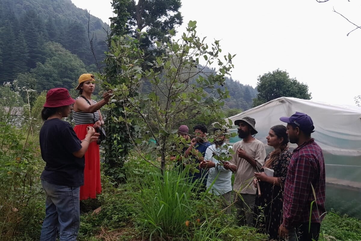 permaculture-workshop-Bir
