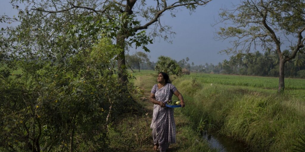 woman-farm