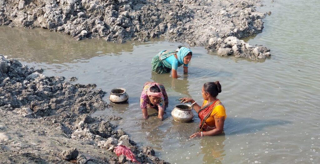 women-foraging