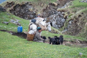 Nomads_of_the_Bugyals_in_Uttarakhand