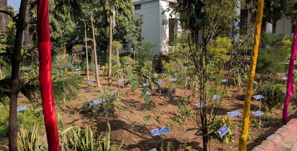 carbon garden