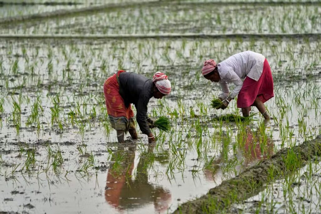 farmers in India