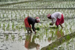 farmers in India