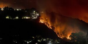 forest fire Himachal