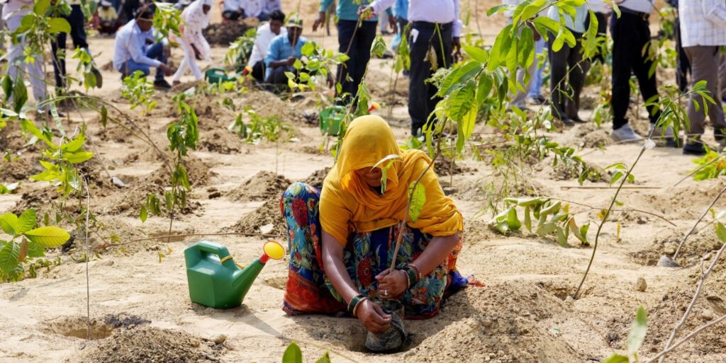 planting trees