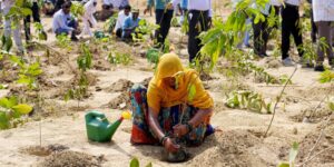 planting trees