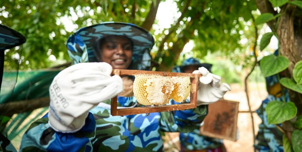 Indigenous women build new livelihoods with hive boxes