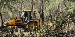 JCB-Delhi-Central-Ridge