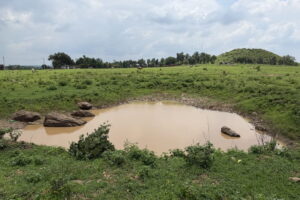 small pond Jharkhand