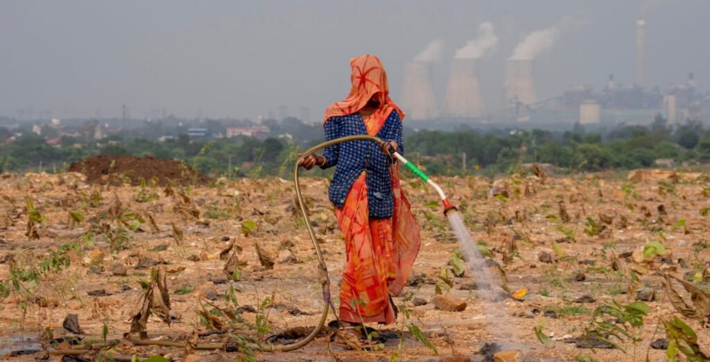 woman watering