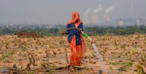 woman watering