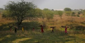 women collecting firewood forest village