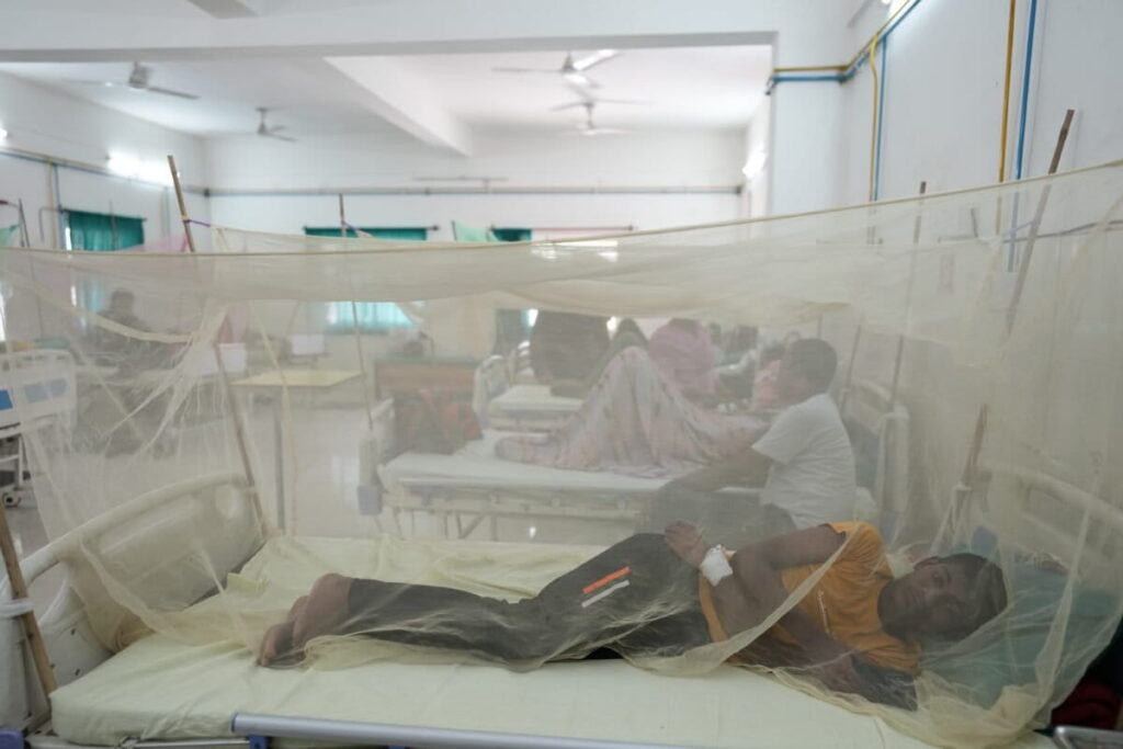 dengue patients