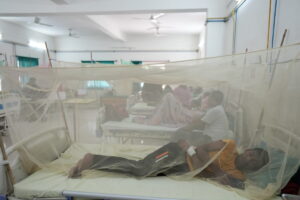 dengue patients